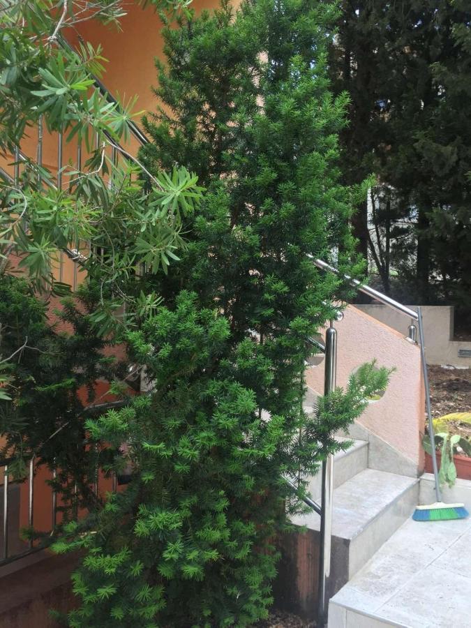 Ruza Vetrova Daire Bar Dış mekan fotoğraf